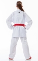 Tokaido kumite master Junior