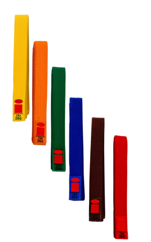 Essimo gekleurde gordels