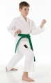 Tokaido Shoshin