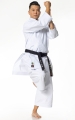 Tokaido Master Sen