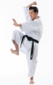 Tokaido Kata Master Japan Style