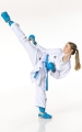 Tokaido Kumite Master Raw