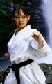 Tokaido Yakudo, made in Japan