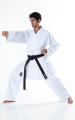 Tokaido Tsunami Gold, 14 oz.