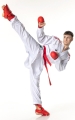 Tokaido Kumite Master Recycled